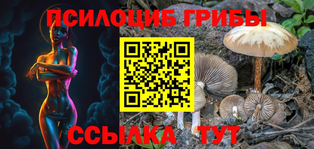 Псилоцибиновые грибы ЛСД Прохладный