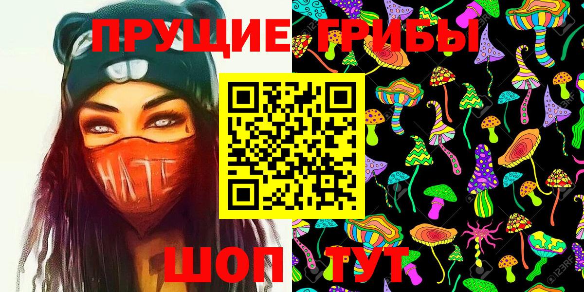 Псилоцибиновые грибы Cubensis  Псилоцибиновые грибы ЛСД  Прохладный  Вход с VPN 